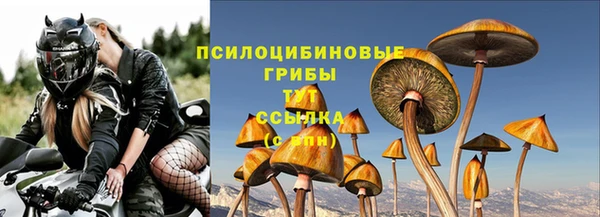 ПСИЛОЦИБИНОВЫЕ ГРИБЫ Абинск